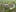Vogelvlucht Essenpark incl fase 4b