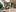 Interieur type Florine